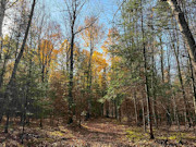 Secluded 3 Acres Near Phillips, WI: Lake Views, Hunting, Fishing