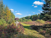 Secluded 3 Acres Near Phillips, WI: Lake Views, Hunting, Fishing