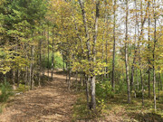 9 Acres For Sale Near Public Land & 900-Acre Lake