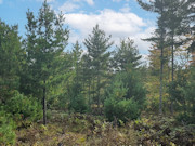 9 Acres For Sale Near Public Land & 900-Acre Lake