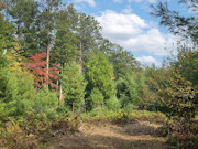 9 Acres For Sale Near Public Land & 900-Acre Lake