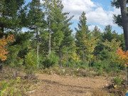 9 Acres For Sale Near Public Land & 900-Acre Lake