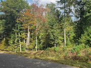 9 Acres For Sale Near Public Land & 900-Acre Lake