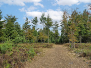 5.3 Acre Land For Sale in Bayfield County, WI