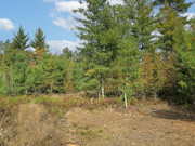 5.3 Acre Land For Sale in Bayfield County, WI