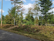 5.3 Acre Land For Sale in Bayfield County, WI