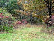 5.3 Acre Land For Sale in Bayfield County, WI