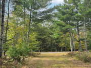 5.3 Acres of Land for Sale near Eau Claire Chain of Lakes