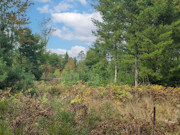 5.3 Acres of Land for Sale near Eau Claire Chain of Lakes