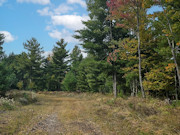 5.3 Acres of Land for Sale near Eau Claire Chain of Lakes