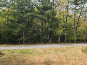 5.3 Acres of Land for Sale near Eau Claire Chain of Lakes