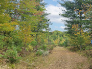 5 Acres of Buildable Land for Sale Near Barnes, WI