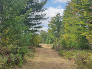 5 Acres of Buildable Land for Sale Near Barnes, WI