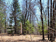 Wooded Land Near Fishtrap Lake with National Forest Border in Winter, WI