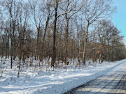 Wooded Land Near Fishtrap Lake with National Forest Border in Winter, WI
