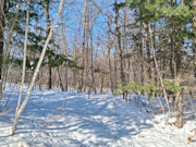1.9 Acres Near Winter, WI - Buildable Northwoods Land by Lakes & Trails