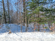1.9 Acres Near Winter, WI - Buildable Northwoods Land by Lakes & Trails