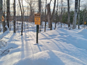 1.9 Acres Near Winter, WI - Buildable Northwoods Land by Lakes & Trails 1.9 Acres Near Winter, WI - Buildable Northwoods Land by Lakes & Trails