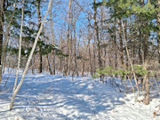7.3 Acres Adjoining National Forest Near Winter, WI