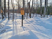 7.3 Acres Adjoining National Forest Near Winter, WI