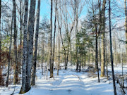 Nearly 2 Acres with Fishtrap Lake Access Near Winter, WI
