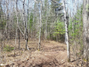 Nearly 2 Acres with Fishtrap Lake Access Near Winter, WI