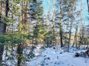 Nearly 2 Acres with Fishtrap Lake Access Near Winter, WI