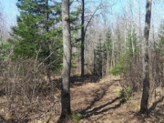Nearly 2 Acres with Fishtrap Lake Access Near Winter, WI