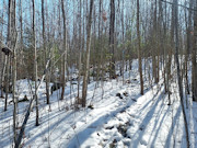 Nearly 2 Acres with Fishtrap Lake Access Near Winter, WI