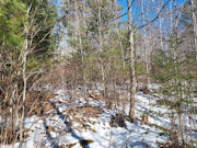 Nearly 2 Acres with Fishtrap Lake Access Near Winter, WI