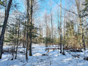 Nearly 2 Acres with Fishtrap Lake Access Near Winter, WI