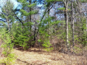 Nearly 2 Acres with Fishtrap Lake Access Near Winter, WI