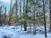 Nearly 2 Acres with Fishtrap Lake Access Near Winter, WI