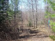 Nearly 2 Acres with Fishtrap Lake Access Near Winter, WI