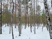 Nearly 8 Acres Adjoining Chequamegon National Forest in Winter, WI
