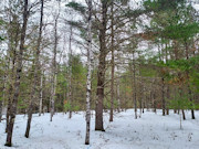 Nearly 8 Acres Adjoining Chequamegon National Forest in Winter, WI