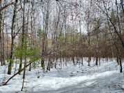 Nearly 8 Acres Adjoining Chequamegon National Forest in Winter, WI