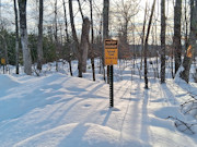 Nearly 8 Acres Adjoining Chequamegon National Forest in Winter, WI