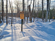 11-Acre Wooded Property Near Winter, WI