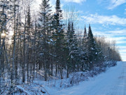 3-Acre Wooded Property Near Winter, WI