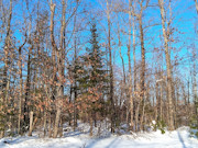 3-Acre Wooded Property Near Winter, WI