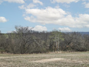 Nearly 25 Wooded Acres Near Gays Mills, WI - Wildlife, Views & Driftless Recreation