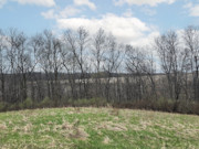 Nearly 25 Wooded Acres Near Gays Mills, WI - Wildlife, Views & Driftless Recreation