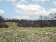 Nearly 25 Wooded Acres Near Gays Mills, WI - Wildlife, Views & Driftless Recreation