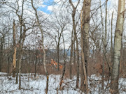 Nearly 25 Wooded Acres Near Gays Mills, WI - Wildlife, Views & Driftless Recreation