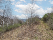 Nearly 25 Wooded Acres Near Gays Mills, WI - Wildlife, Views & Driftless Recreation