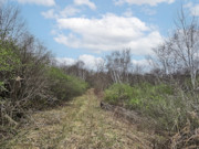 Nearly 25 Wooded Acres Near Gays Mills, WI - Wildlife, Views & Driftless Recreation