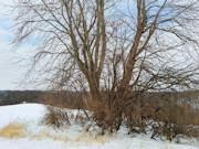 6.83 Acres Wooded Land for Sale Near Gays Mills, WI with Panoramic Views