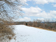 6.2 Acre Wooded Land For Sale Near Gays Mills, WI