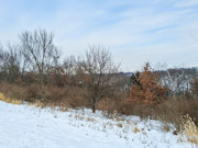 6.2 Acre Wooded Land For Sale Near Gays Mills, WI